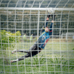 LIGA NACIONAL DE ARQUEROS - Imagen 8